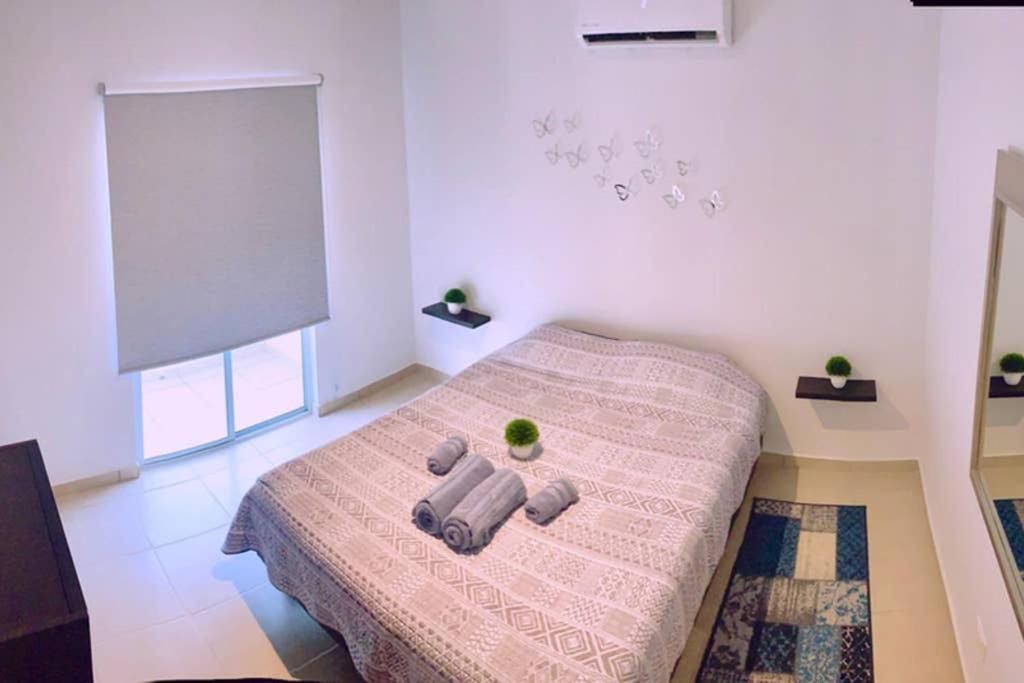 Luna Pacific Los Cabos - Condo Near Beach photo