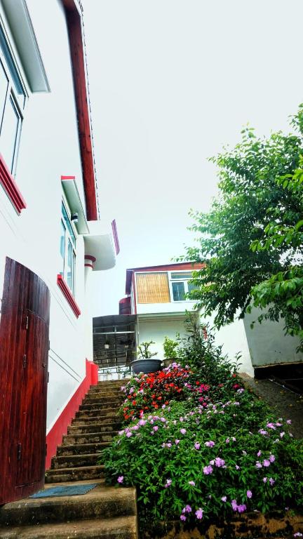KT Homestay & Coffee photo