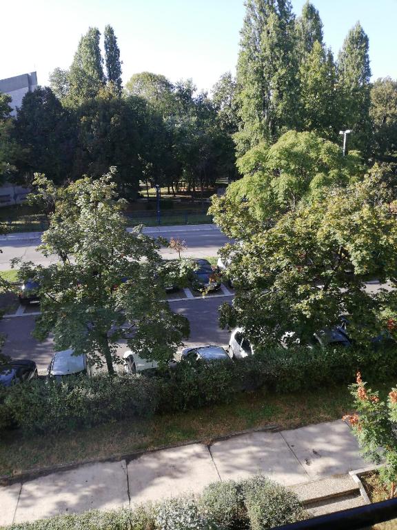 Apartman Vanja photo