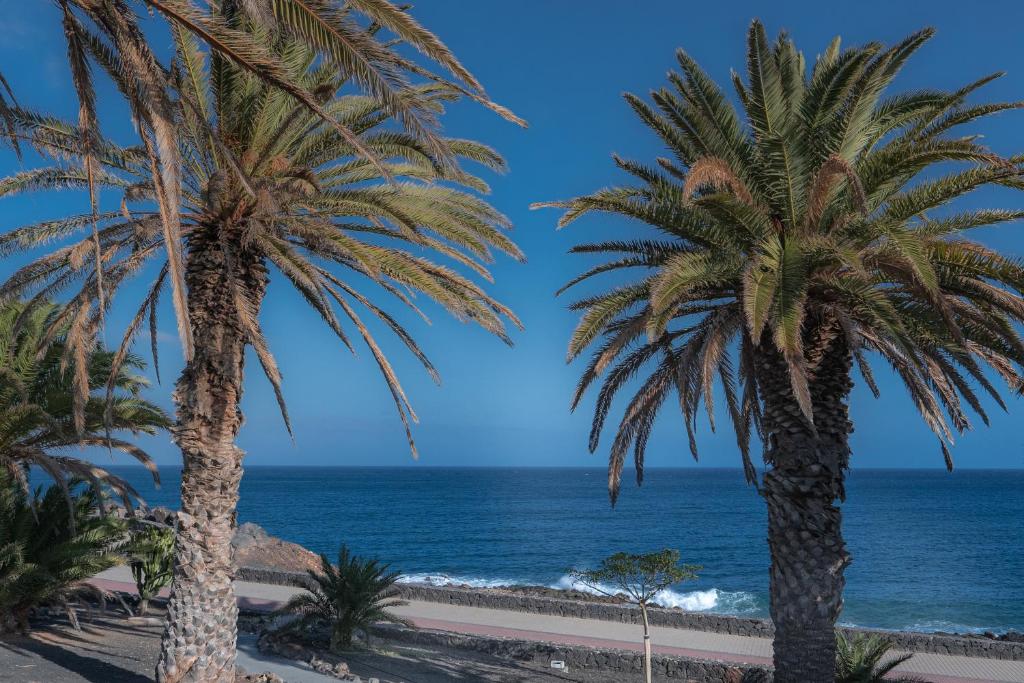 Beautiful studio on the seafront - 3