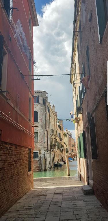 the secret garden in the very heart of Venice - 2