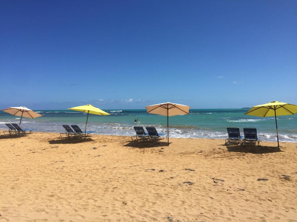 Blue Leaf by the Sea — Hotel in Luquillo