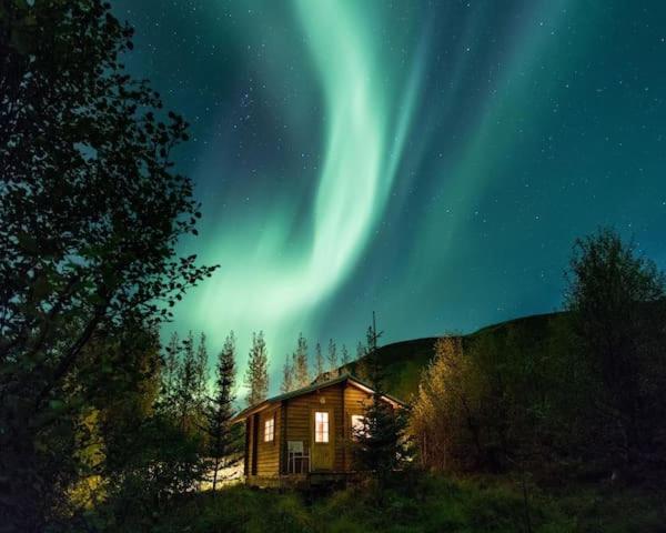 Arngrimslundur log cabin - cabin 3 photo