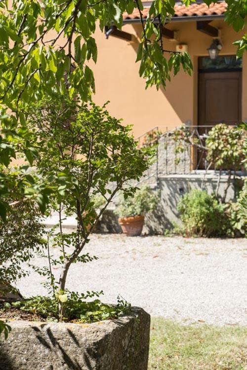 B&B Murolungo photo