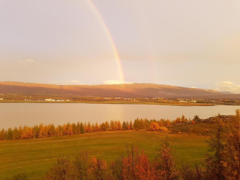 Surrounding environment