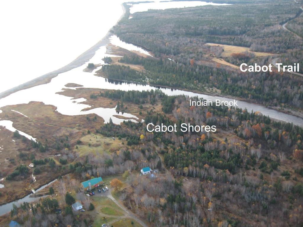 Cabot Shores photo
