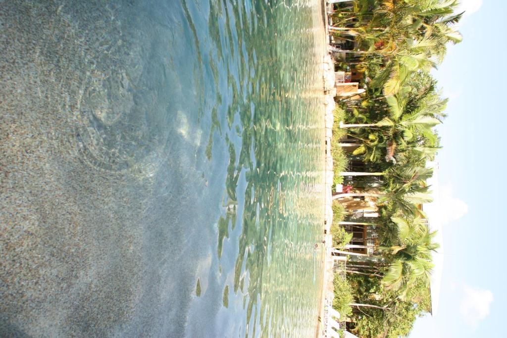 スイミングプール