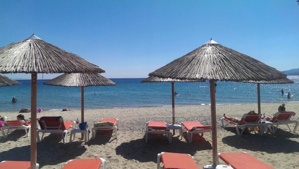 Pension Delfini photo