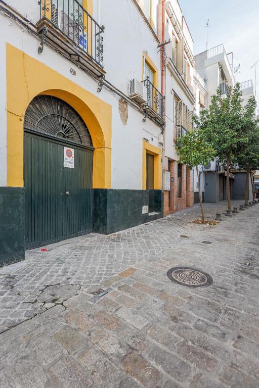 San diego alto - 2
