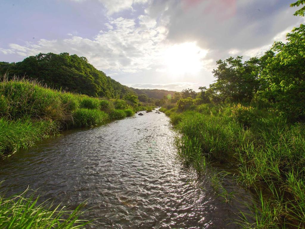 Surrounding environment