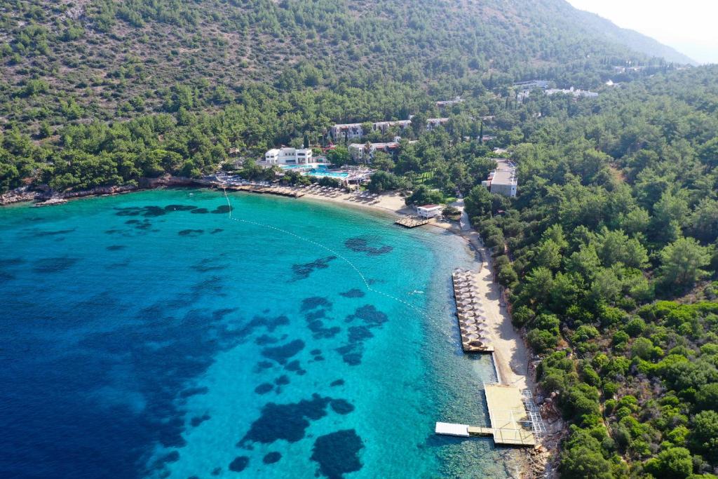Spiaggia