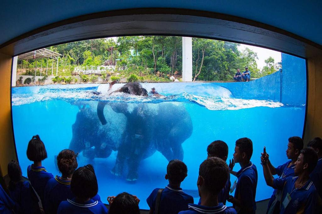 Nearby attraction