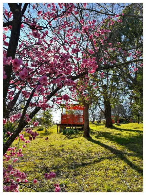 Poplars Inn Mittagong photo