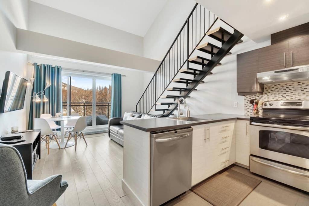 INITIAL - FOREST FRIENDS - Mont-Sainte-Anne, Beaupré