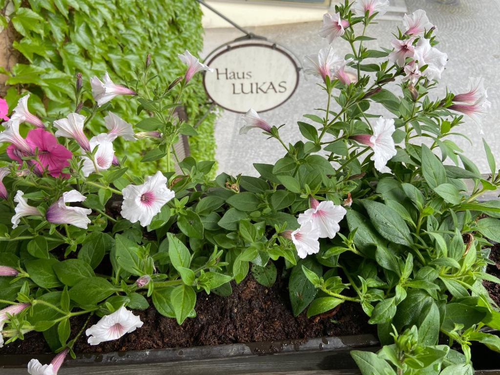 Haus Lukas - 4