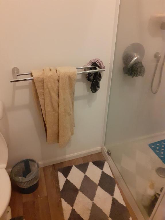 Intrepid Bed & Breakfast photo