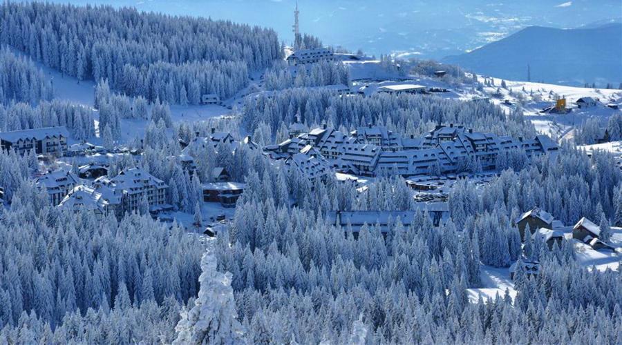 Brvenik 105, Konaci - Kopaonik - 5