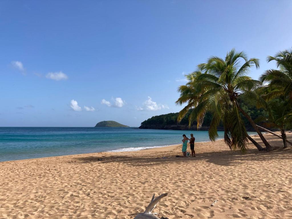 Coco-Mango Apt A, Deshaies