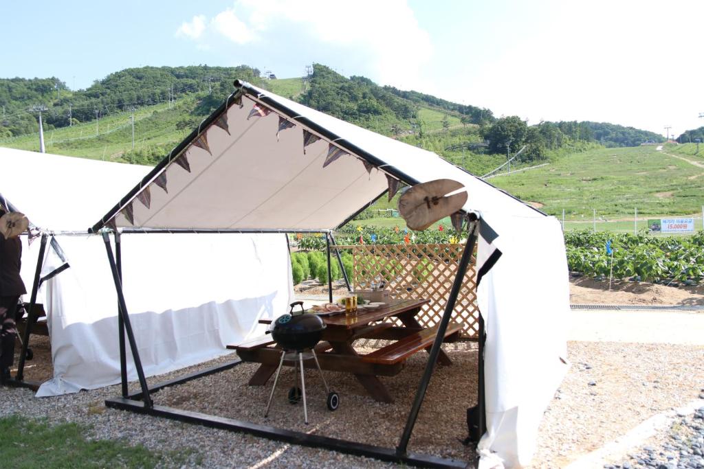 레스토랑