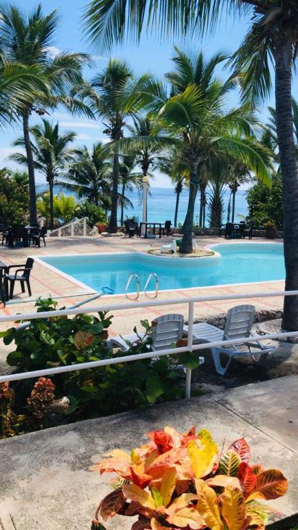 Hotel Playazul photo