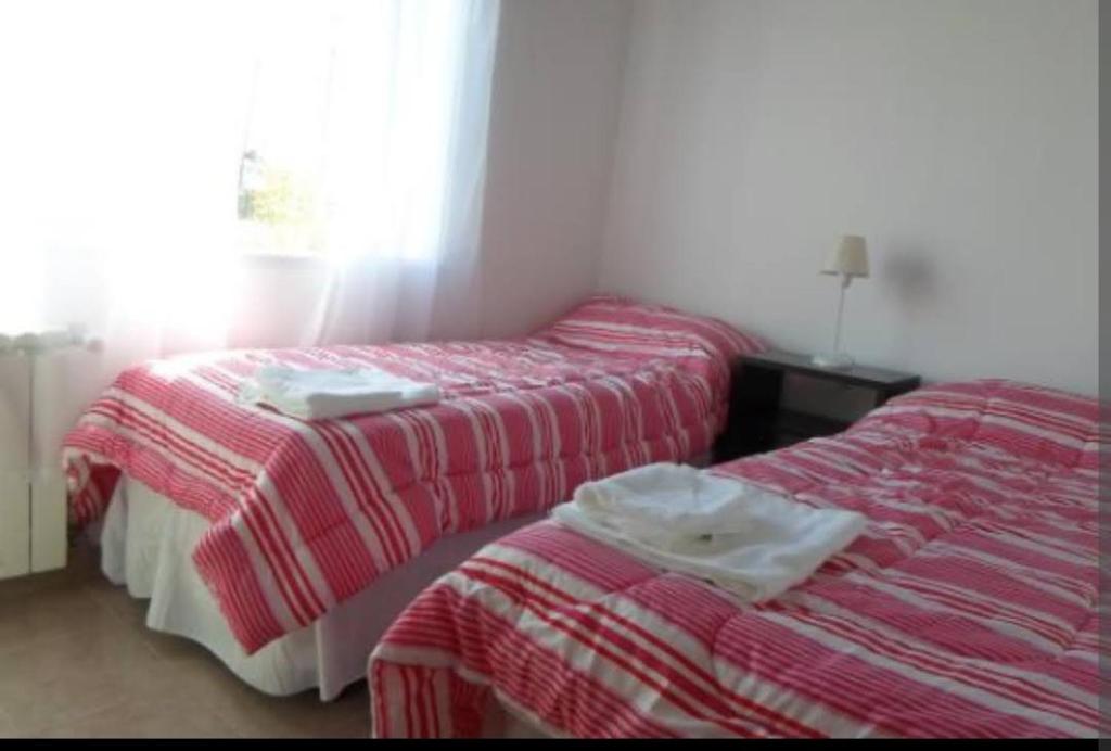 DEPARTAMENTO CALAFATE CENTRICO photo