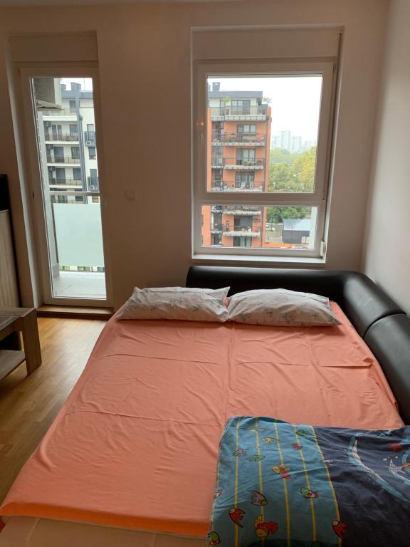 Belgrade studio in luxury apartment A block - 2