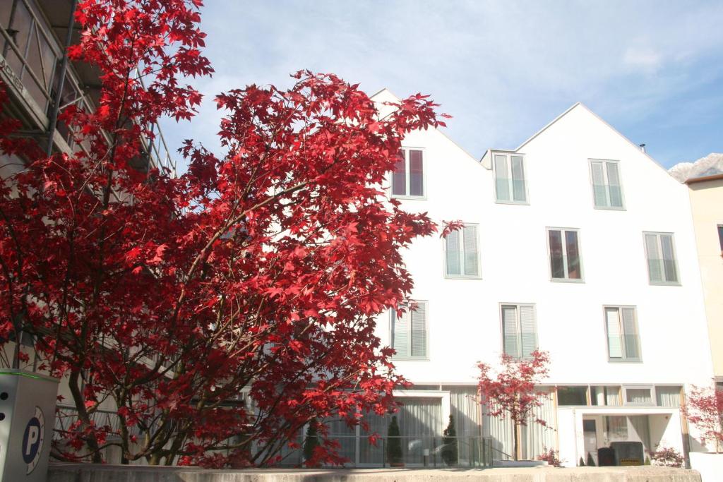 Hotel Engl photo