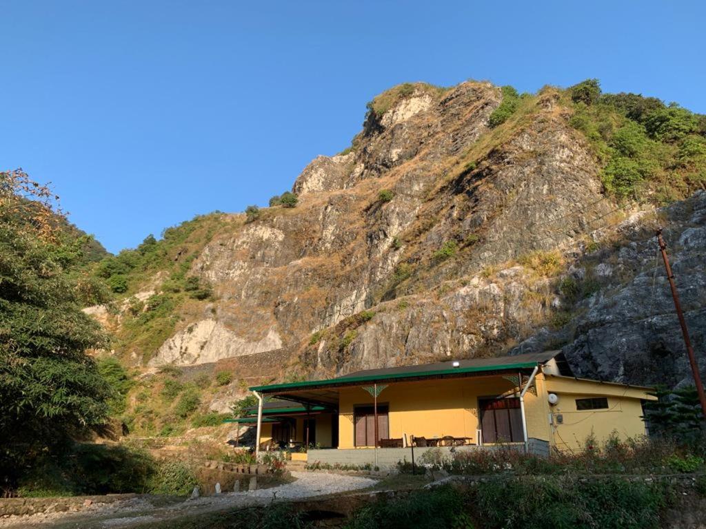 A Dogs Story, Mussoorie photo