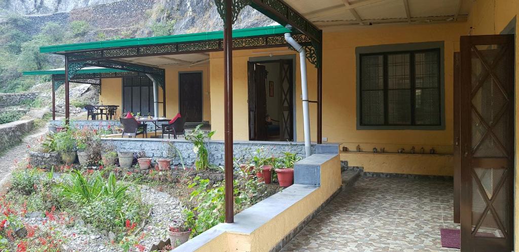 A Dogs Story, Mussoorie photo