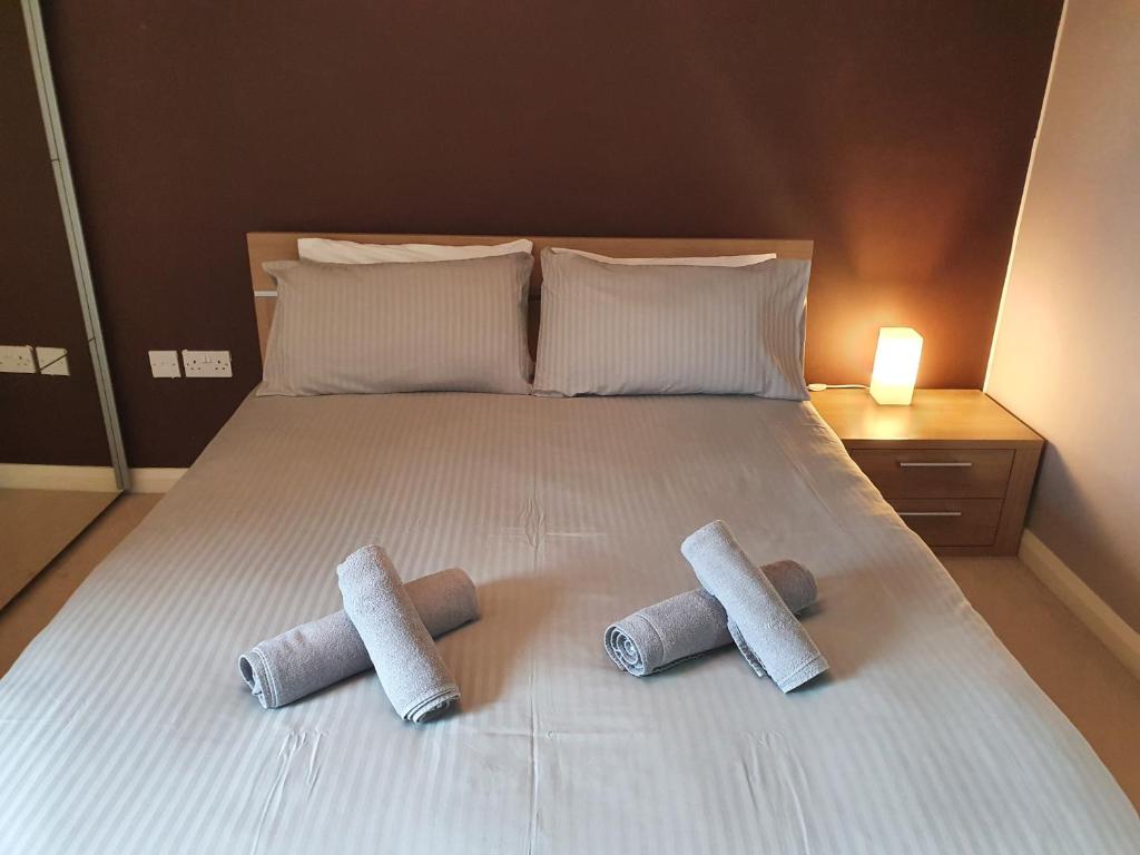 Library Square Penthouse — Hotel in Belfast
