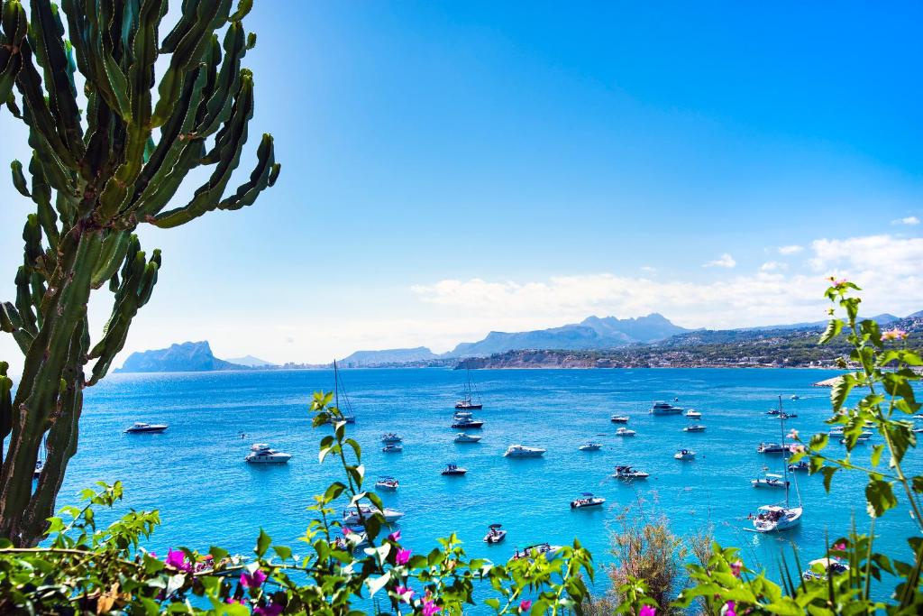 Villa Cap d Or - Fantastic Seaview - by Holiday Rentals Villamar - 4