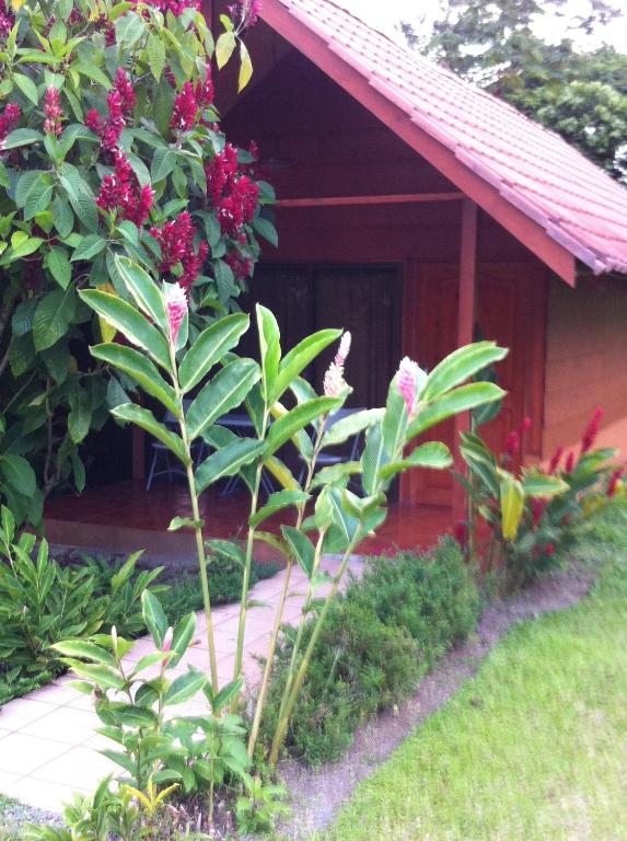 Hotel Villas Vista Arenal photo