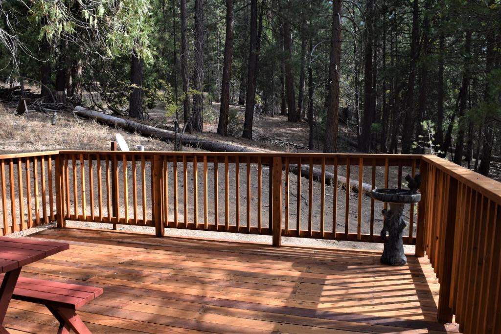 11B Sequoia House photo