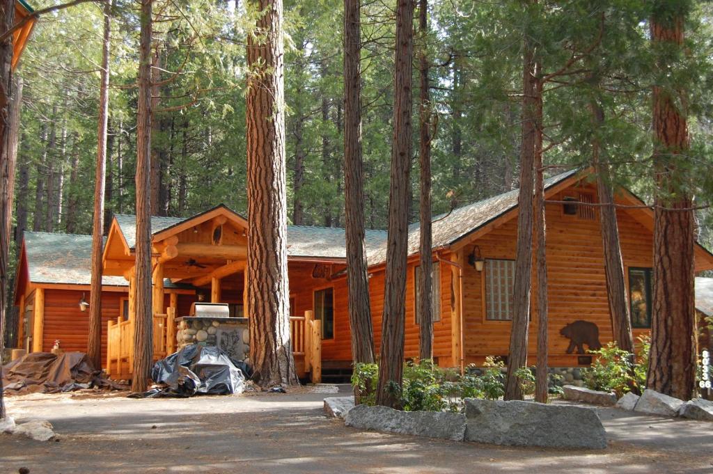 66 Grizzly Giant, Wawona