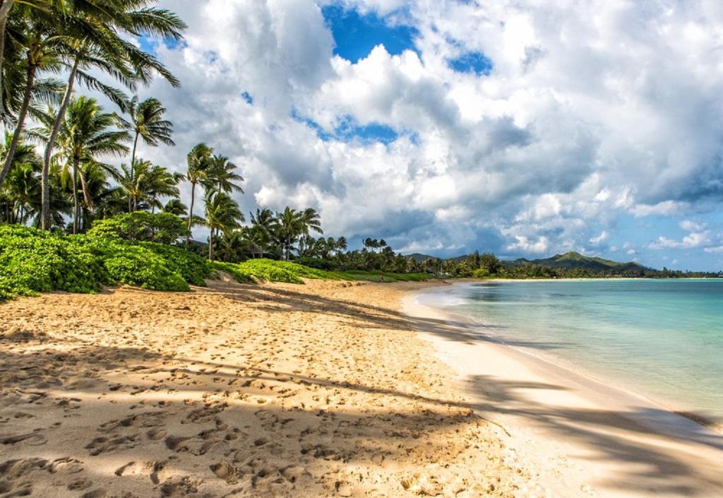 Kailua Beach Cottage photo