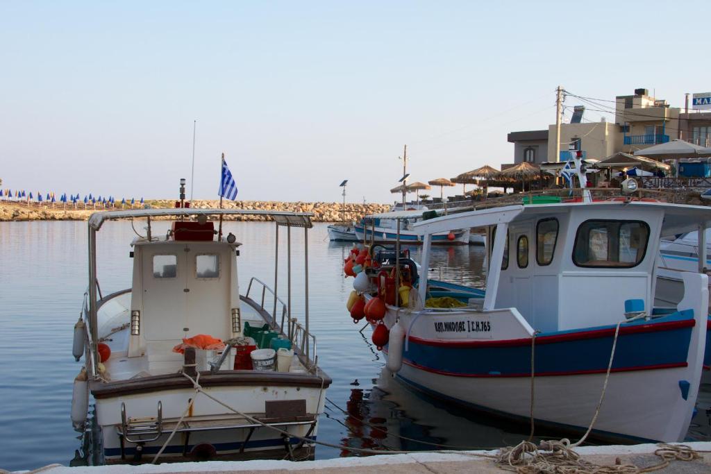 周辺観光スポット