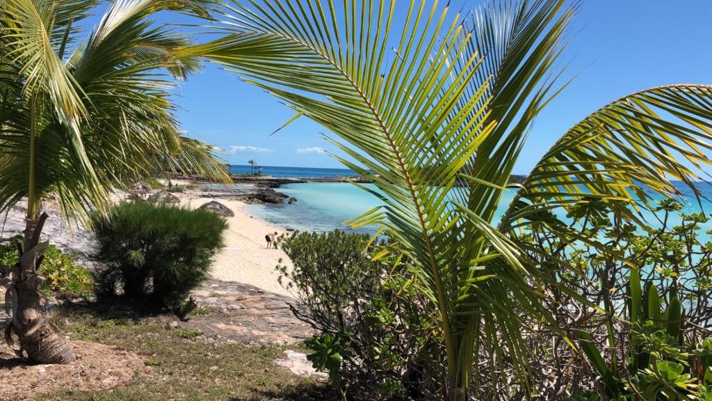 アクティビティ