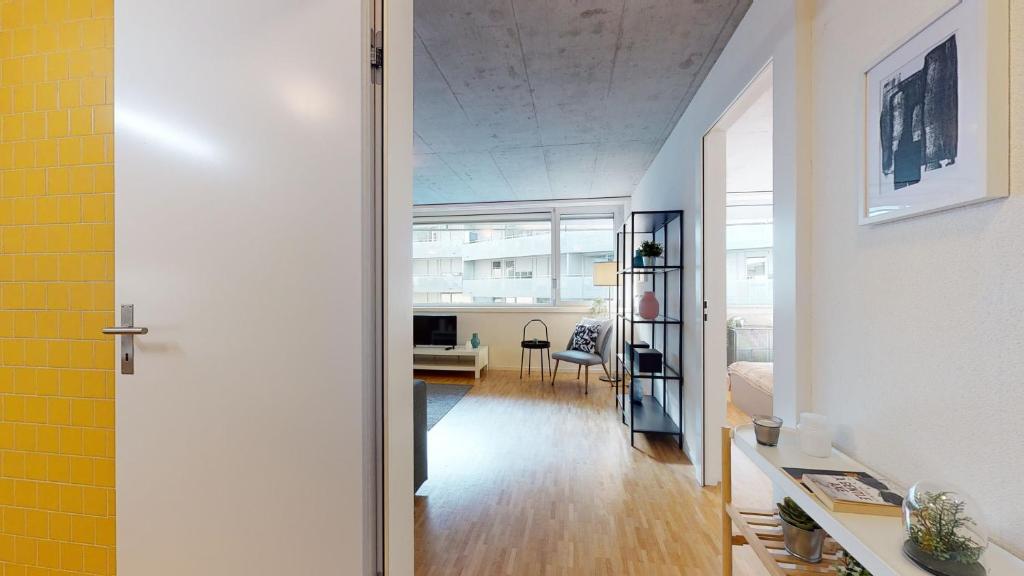 Bright and luminous 1 bedroom flat in downtown - 4