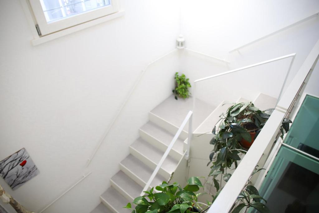La Casina - 4