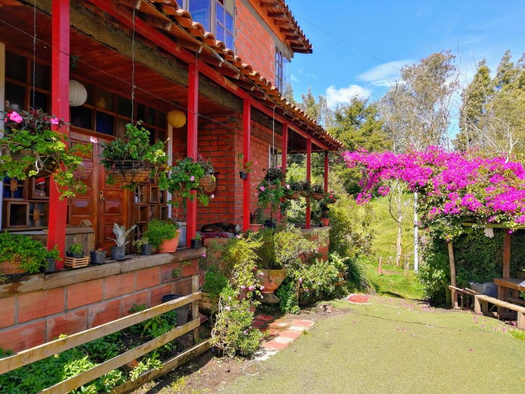 Finca Hotel Nutabes - 3