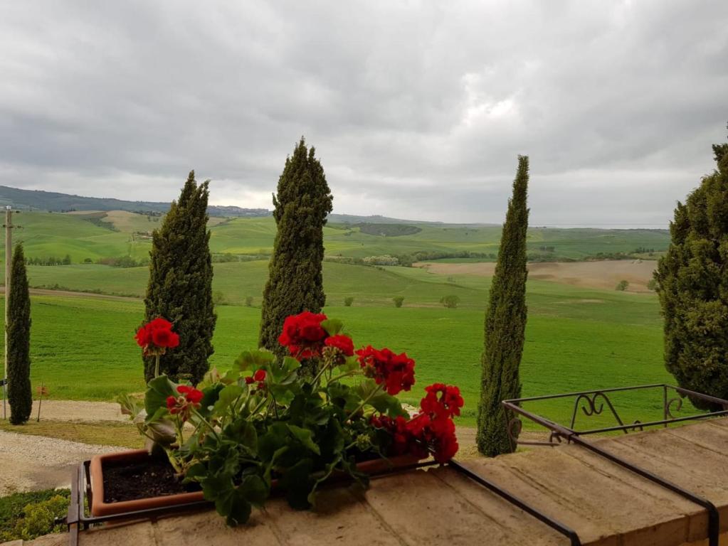 Agriturismo Poggio Tobruk photo