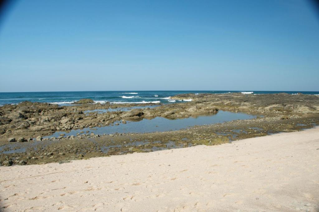 Surrounding environment