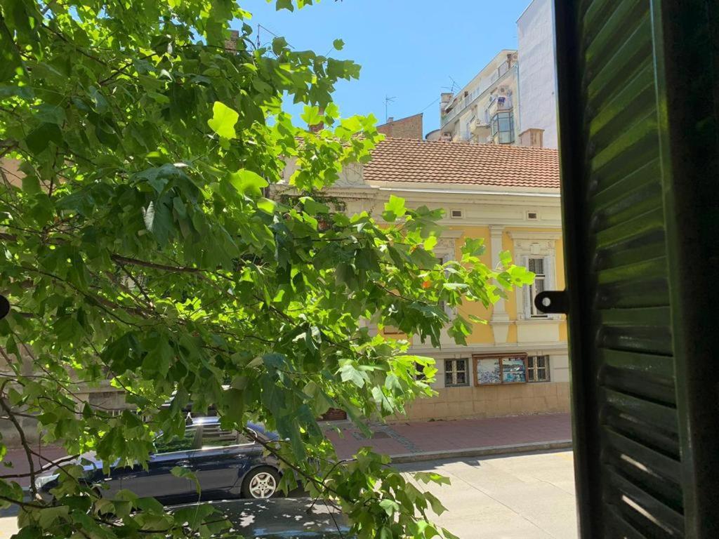 City centre apartment - 4