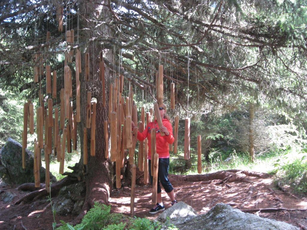 Surrounding environment