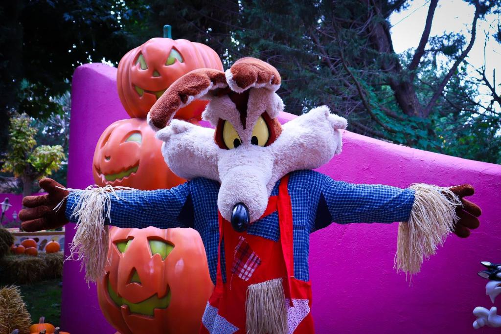 Programlehetőségek