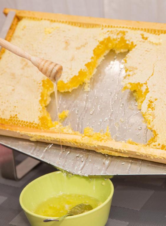 Express By Holiday Inn Bologna-Fiera Photo 42