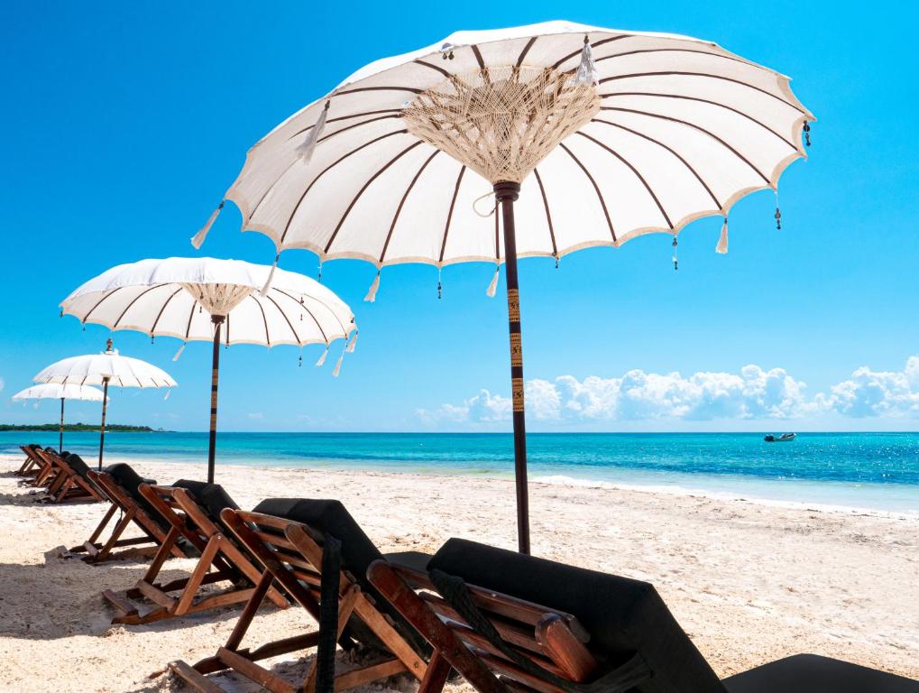 Serenity Authentic Glamping Tulum photo