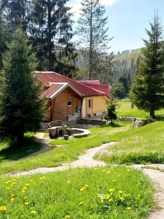 Vila IZVORUL MINUNILOR, hotel v destinaci Stana de Vale