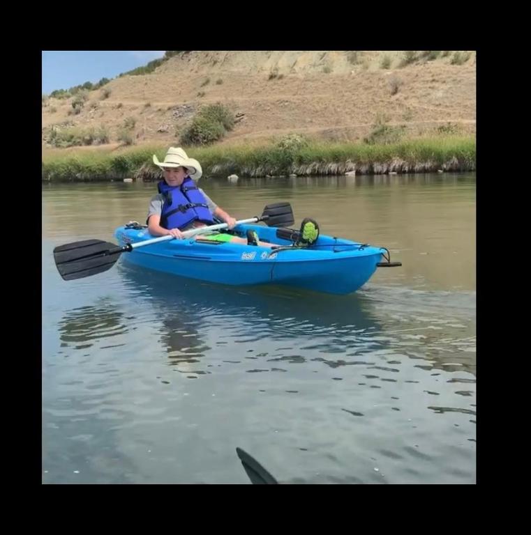 アクティビティ