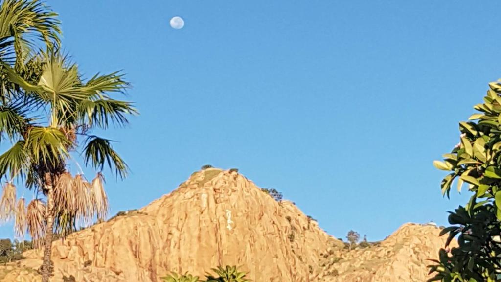 Island View Motel photo